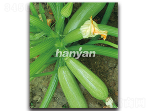 �h�@����-�����J�N��-�h��