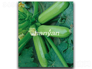 �h��һ̖(h��o)-�����J�N��-�h��