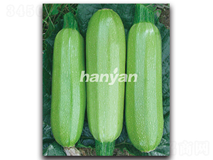 �h����̖(h��o)-�����J�N��-�h��