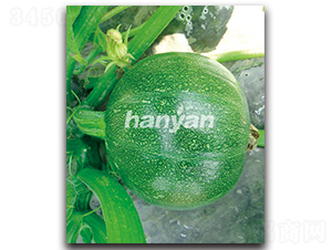 �h�@����-�����J�N��-�h��