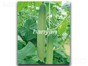 �h�K�y��-�S�ϷN��-�h��