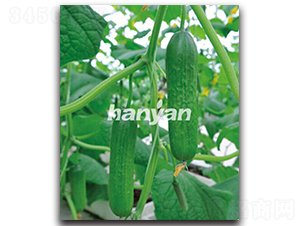 �h������3̖-�S�ϷN��-�h��