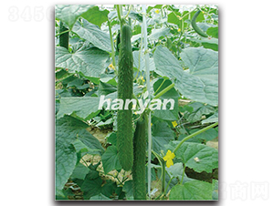 �h�д���-�S�ϷN��-�h��