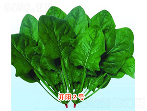 �_(k��i)�(y��ng)2̖(h��o)-���˷N��-���N