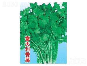 ��������-��˷N��-���N