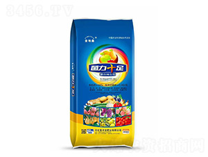 �ͺ�΢�����-����ʮ��-���r��