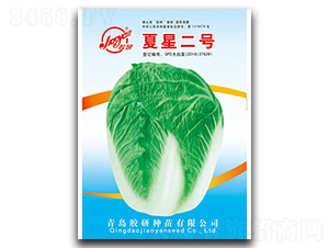 ���Ƕ�̖(h��o)-�Ĳ��ײ˷N��-�z��