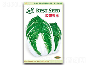 膠研春豐-春播白菜種子-膠研