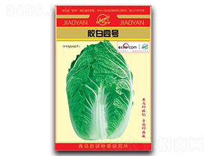 �z����̖(h��o)-�����ײ˷N��-�z��