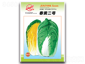 春黃二號(hào)-春播白菜種子-膠研