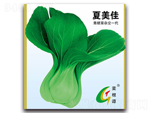 ������-�๣�˷N��-�����N�I(y��)