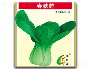 �����P-�๣�˷N��-�����N�I(y��)