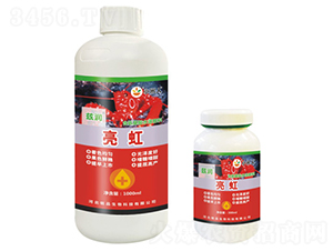 ����-Ɲ��-�Ʒ����