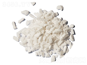 ����w��-ïʩ�r(n��ng)�I(y��) 