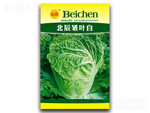 �������~��-��ײ˷N��-�����N�I(y��)