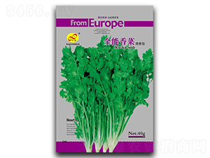 ȫ�����-��˷N��-��ɷN�I(y��)