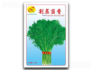 �������-����N��-��ɷN�I(y��)