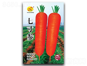 �ߴ煢-���}���N��-��ɷN�I(y��)