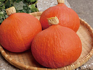 �t����-�ϹϷN��-�����r�I(y��)