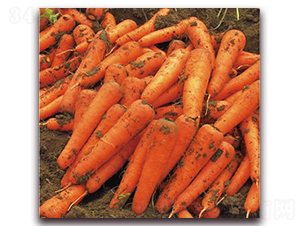 �tӳ��̖-���}���N��-�����r(n��ng)�I(y��)