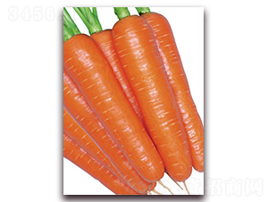 ���x���-���}���N��-�����r(n��ng)�I(y��)