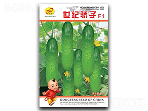 ���o���-�S�ϷN��-��ɷN�I(y��)