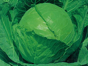 ����60-���{(l��n)�N��-�����r(n��ng)�I(y��)