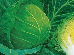 KAG-703-���{(l��n)�N��-�����r(n��ng)�I(y��)