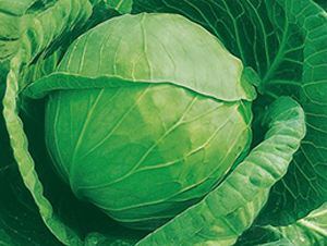 KAG-91-���{(l��n)�N��-�����r(n��ng)�I(y��)