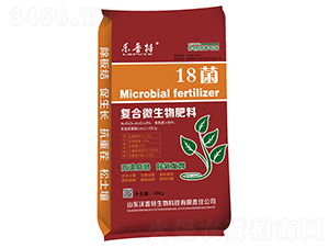 18���ͺ�΢�������-������