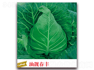 ���n���S-���{(l��n)�N��-����