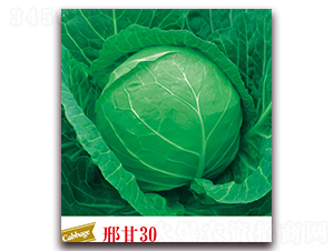 �ϸ�30-���{(l��n)�N��-����