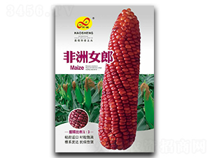 ����Ů��-Ŵ���׷N��-��ɷN�I(y��)