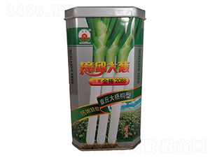 三系金棒2088號-大蔥種子-鑫星農業(yè)
