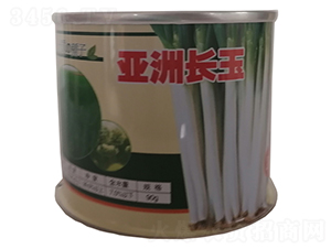 亞洲長玉-大蔥種子-鑫星農(nóng)業(yè)