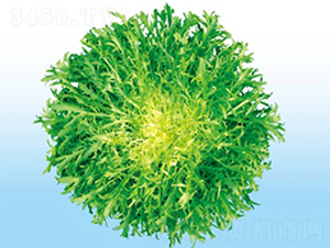 �������\����-��շN��-�A�߷N�I(y��)