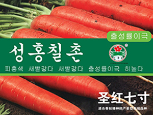 ʥ�t�ߴ�-���}���N��-�A�߷N�I(y��)