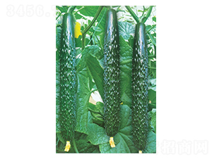 ����-�S�ϷN��-�A�߷N�I(y��)