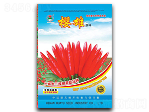 櫻雄-朝天椒種子-華蔬種業(yè)