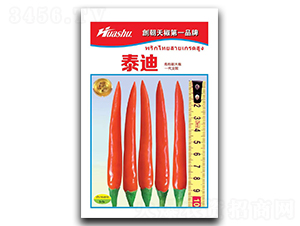 泰迪-朝天椒種子-華蔬種業(yè)