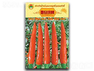 曼谷琬美-朝天椒種子-華蔬種業(yè)