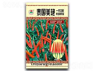 泰國美艷-朝天椒種子-華蔬種業(yè)