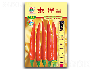 泰澤-朝天椒種子-華蔬種業(yè)
