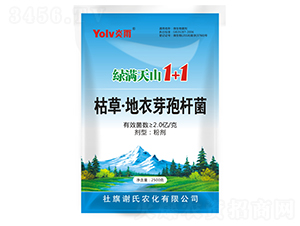 �ݲݡ�����ѿ�ߗU��-�G�M��ɽ1+1-�x���r��