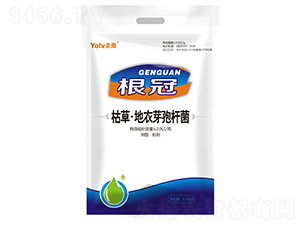 �ݲݡ�����ѿ�ߗU��-����-�x���r(n��ng)��