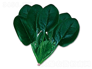 �_(k��i)����-���˷N��-혳�