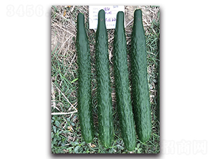 ����78-�S�ϷN��-혳�