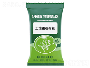 �����ز��ޏ�(f��)-ǧ���