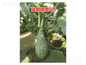 �˶��y��2̖(h��o)-�ϹϷN��-�˶��f(w��n)ʢ