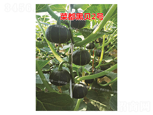 �˶���ؐ2̖(h��o)-�ϹϷN��-�˶��f(w��n)ʢ